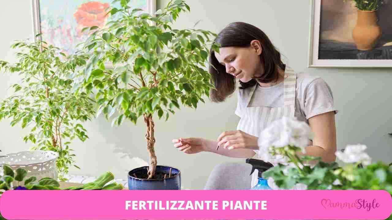 fertilizzante