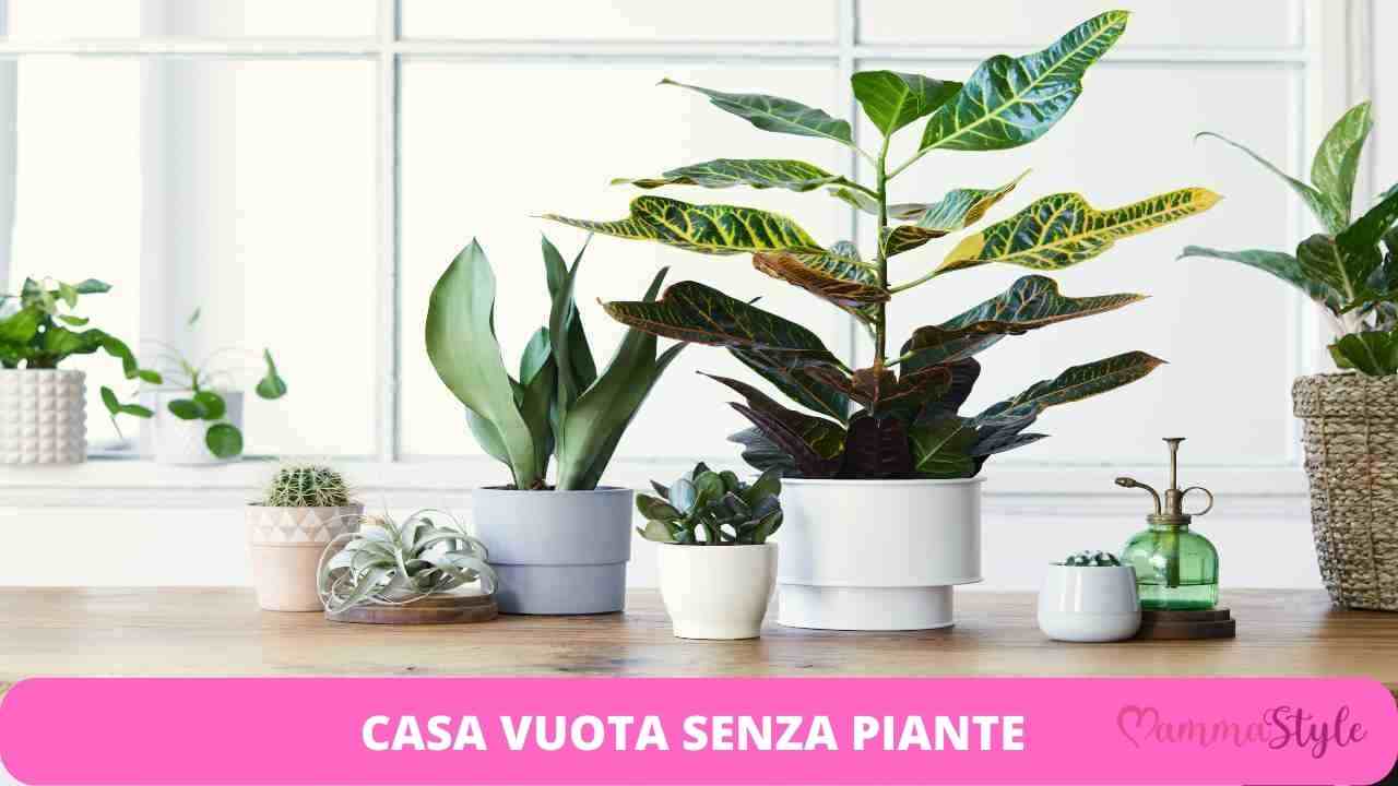 casa senza piante