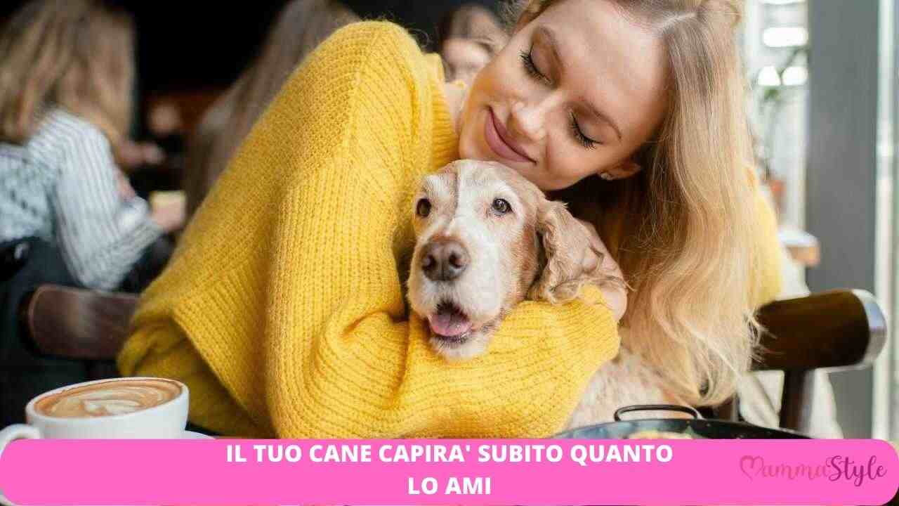 capire cane ami