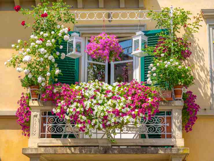 balcone perfetto autunno