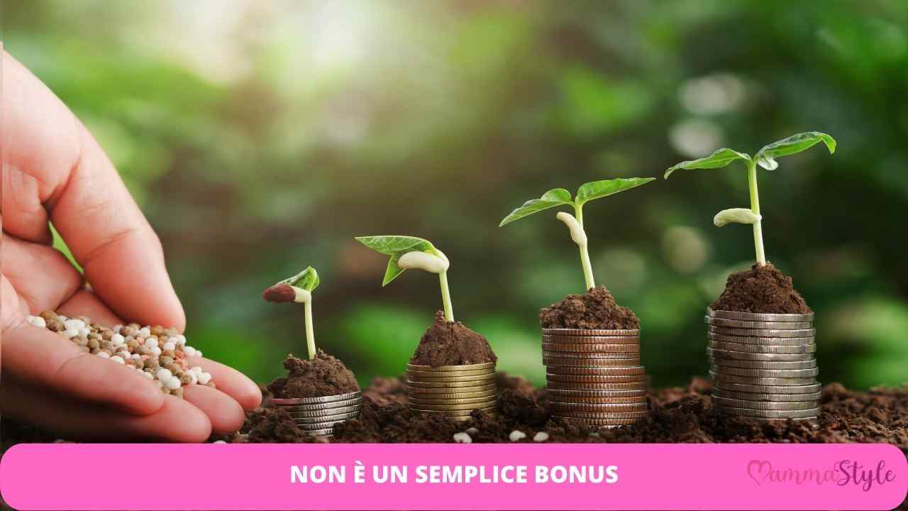 semplice bonus