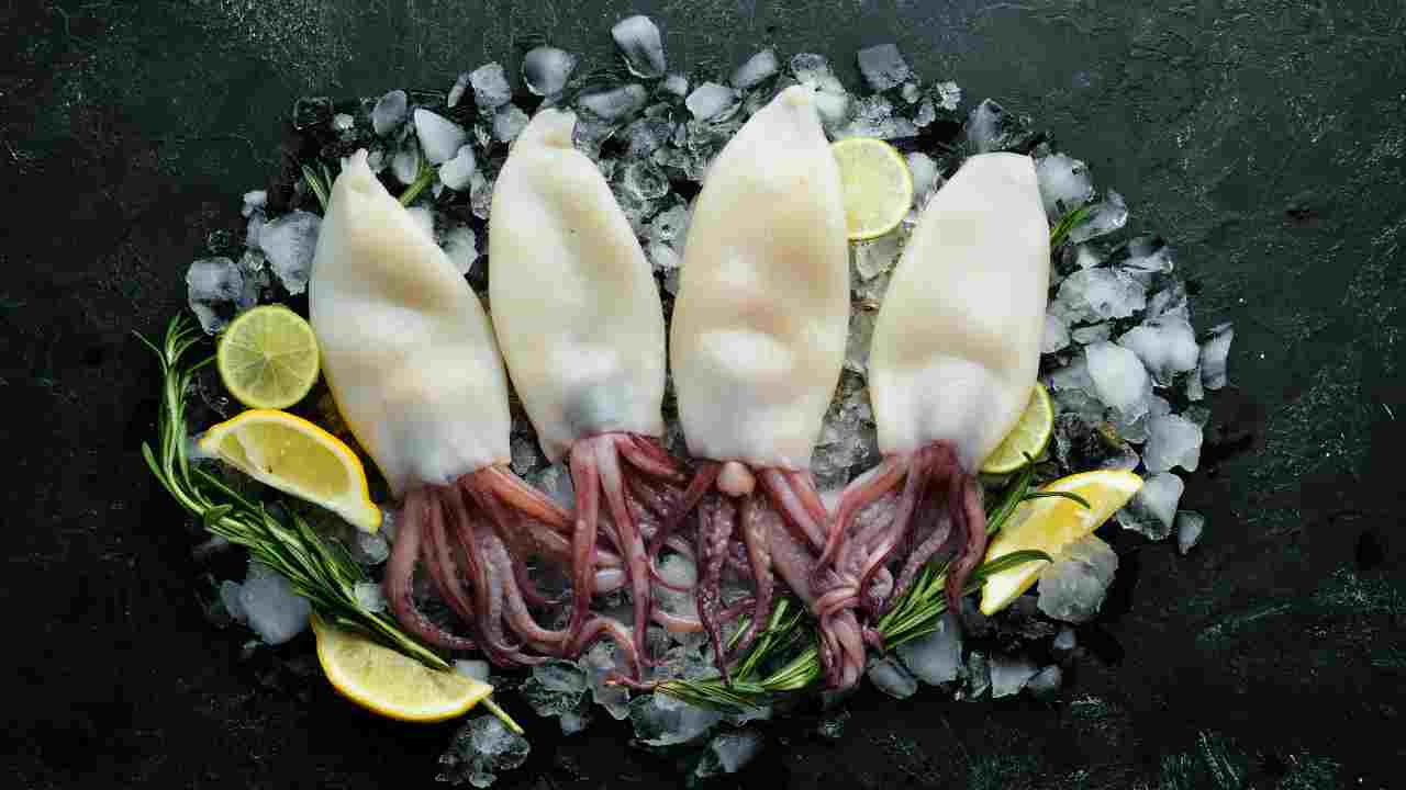 calamari amalfitana