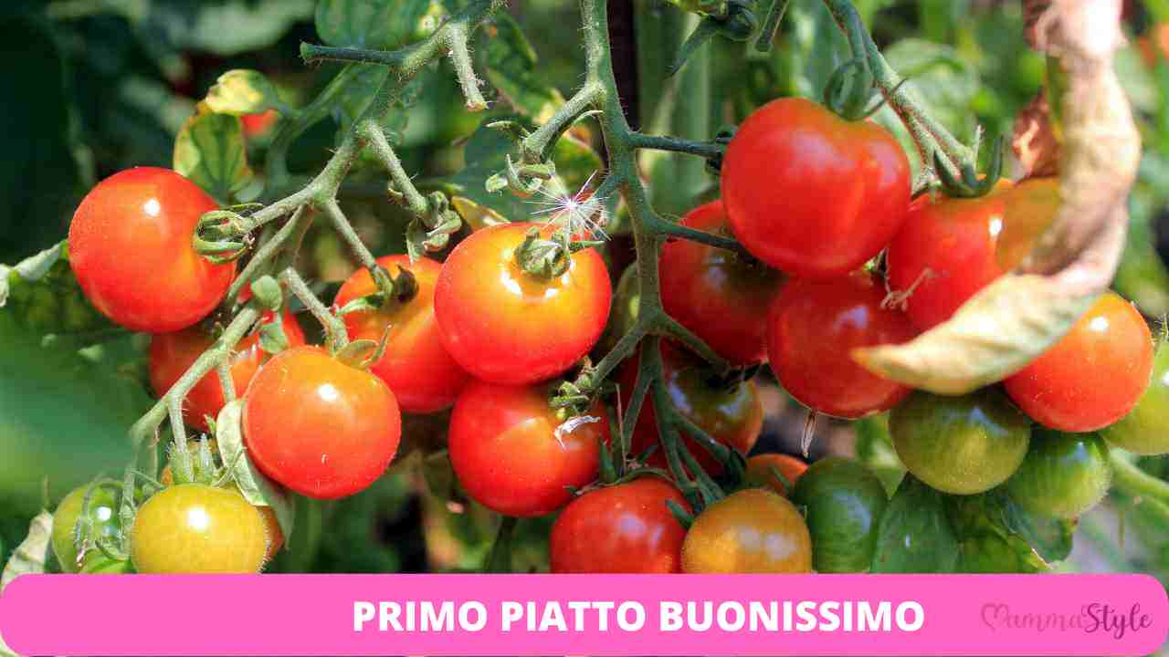 pomodori primo piatto