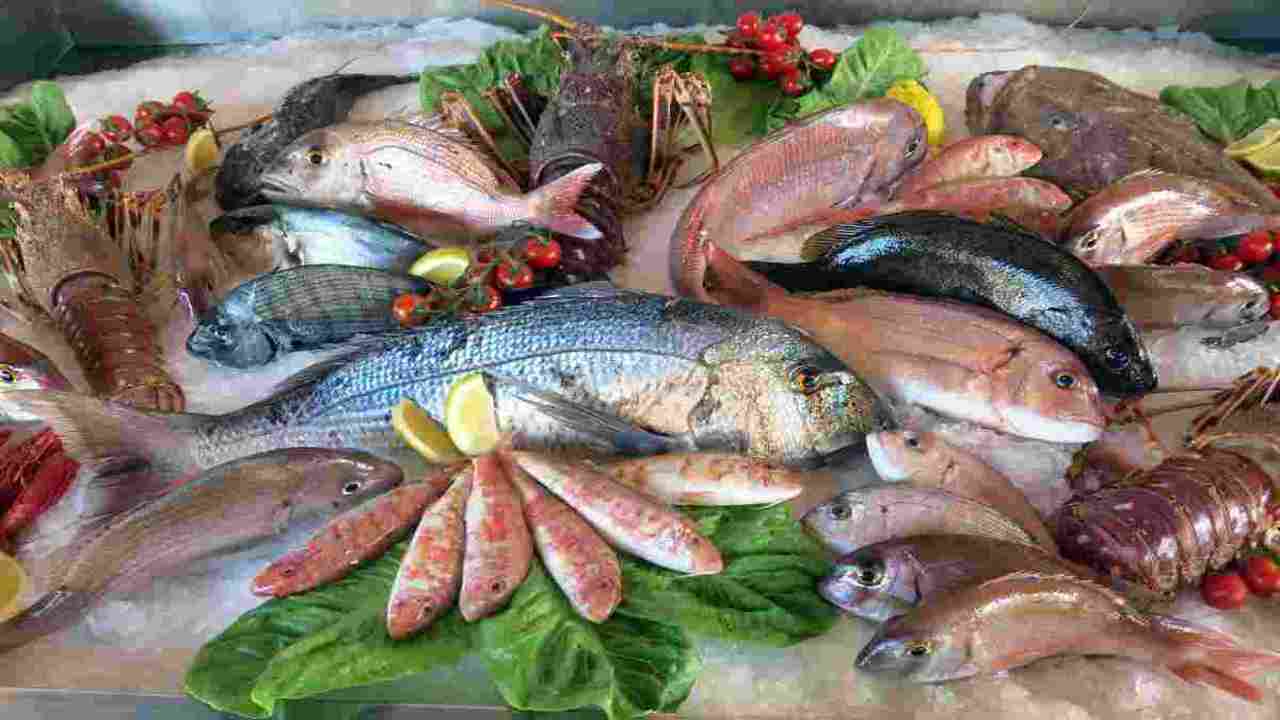 piatto pesce economico