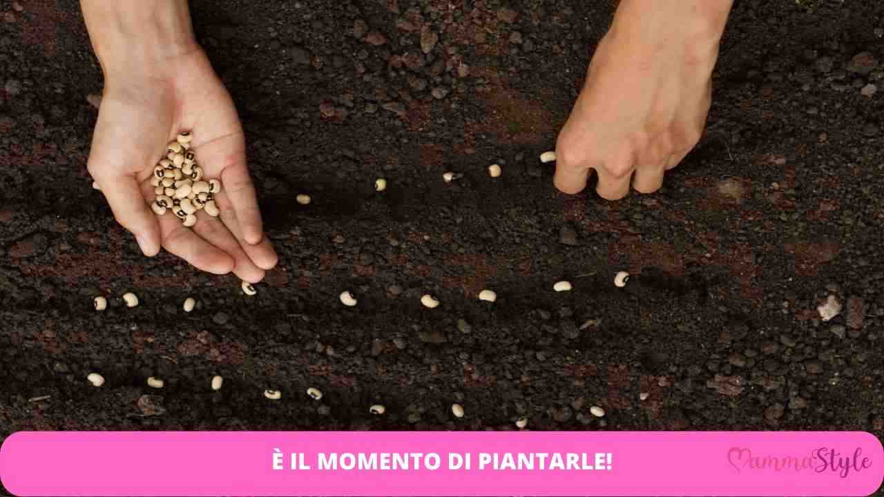 ottobre seminare piante