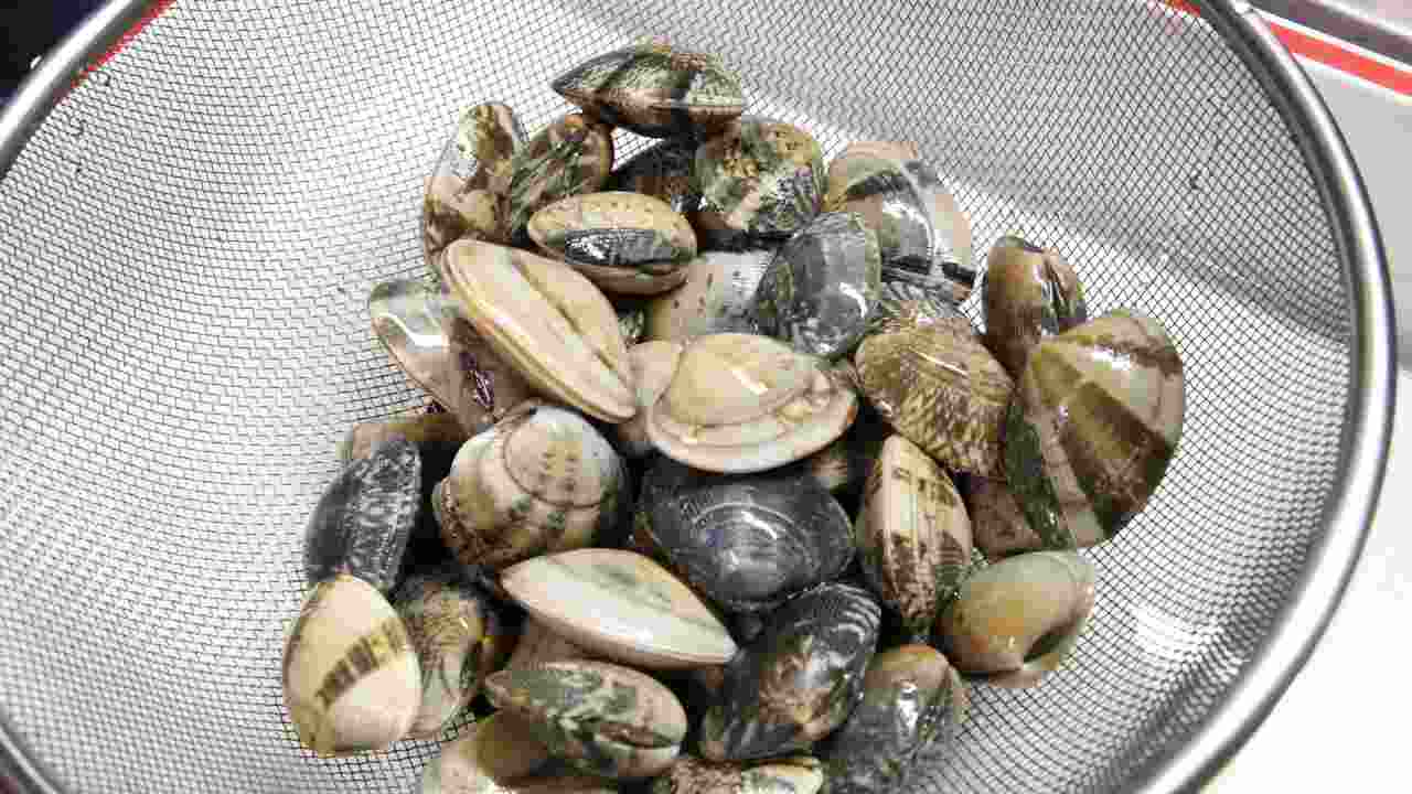 pulire vongole errore