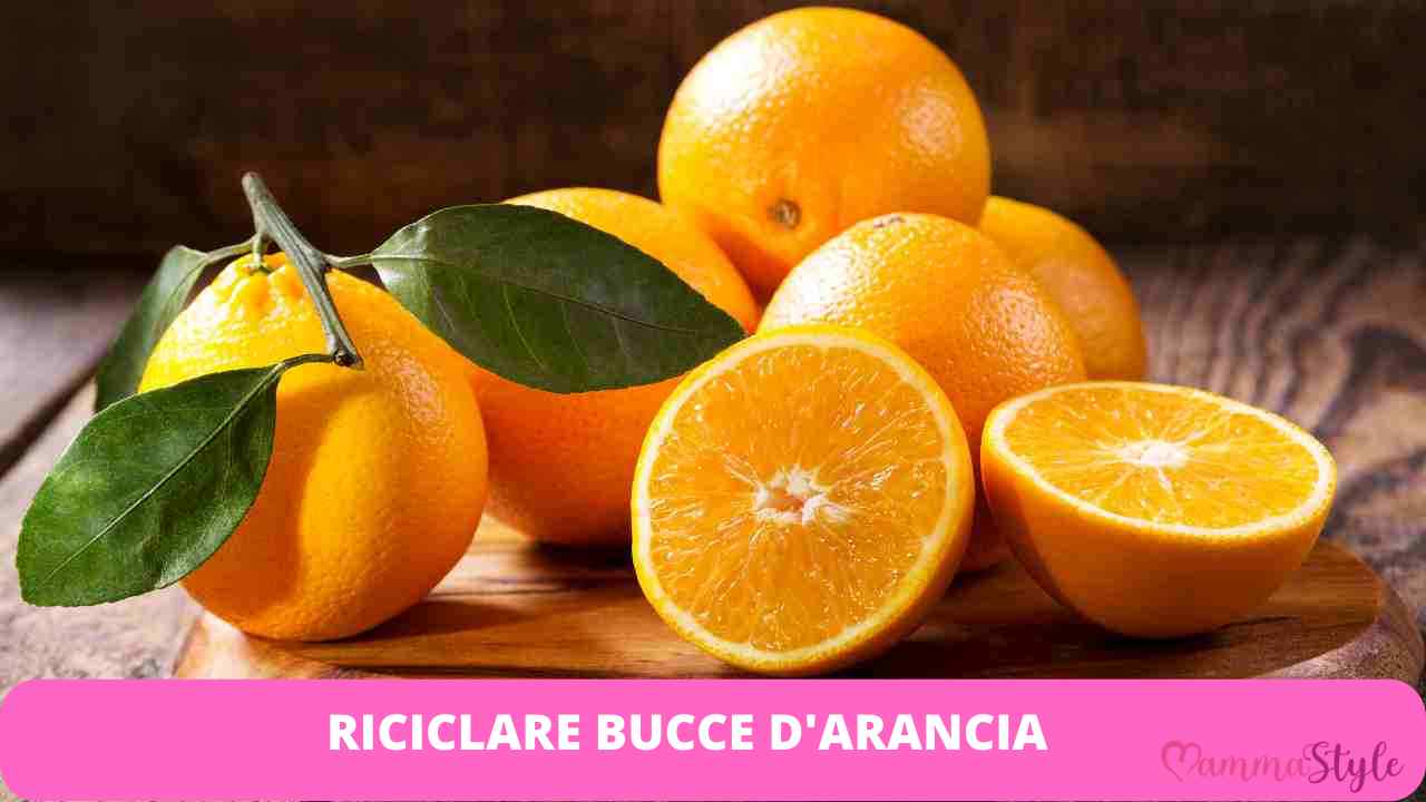 bucce arancia riciclo