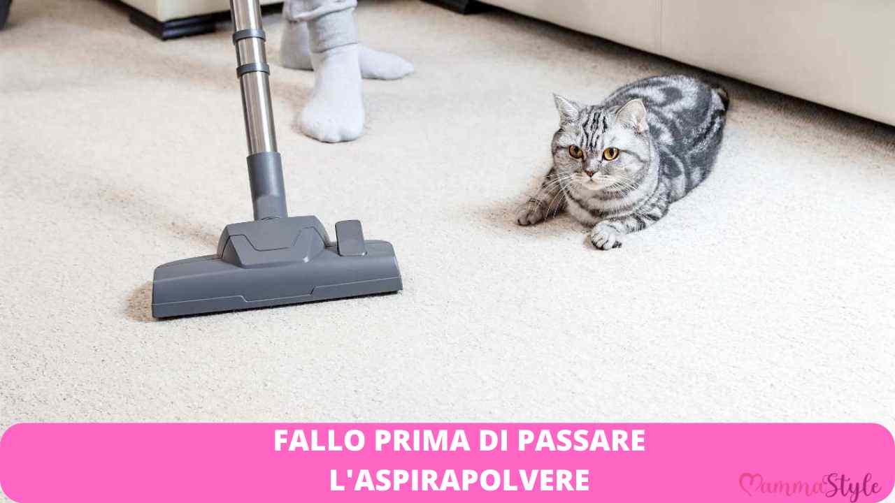 aspirapolvere