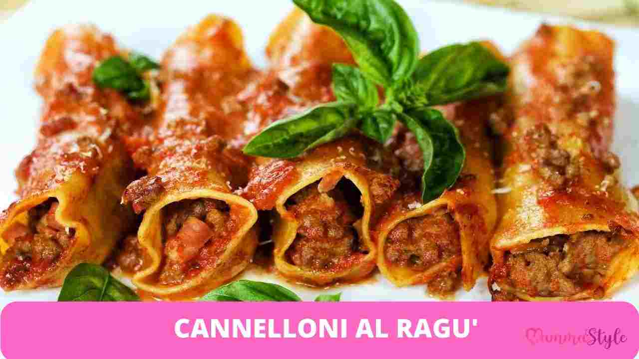 cannelloni ragù