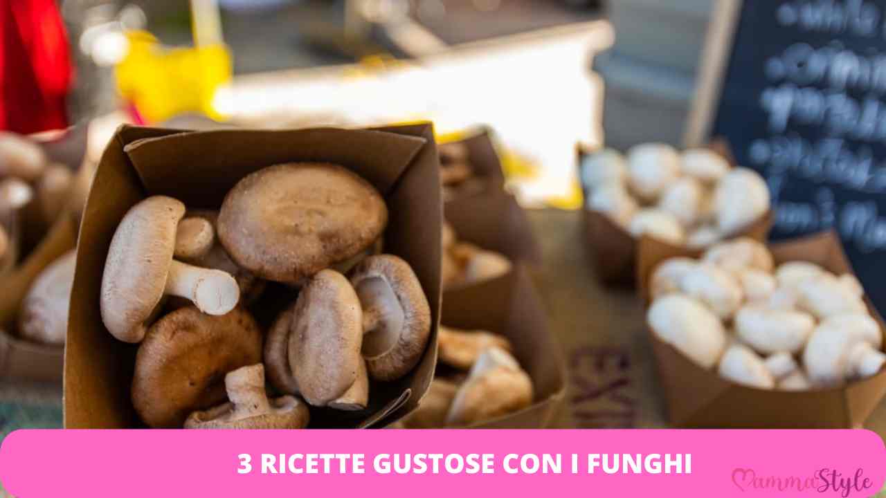 funghi ricette