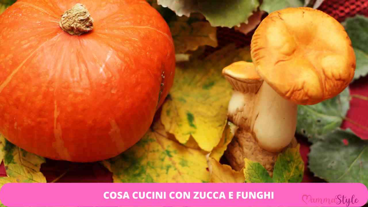 funghi zucca