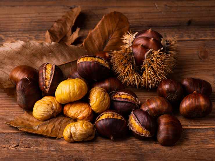 castagne matte