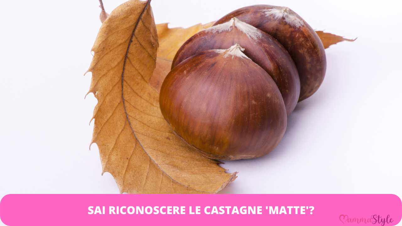 castagne matte