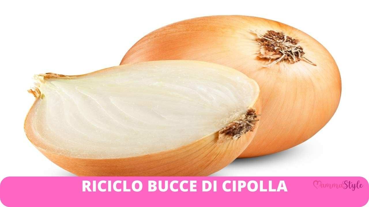 buccia cipolla