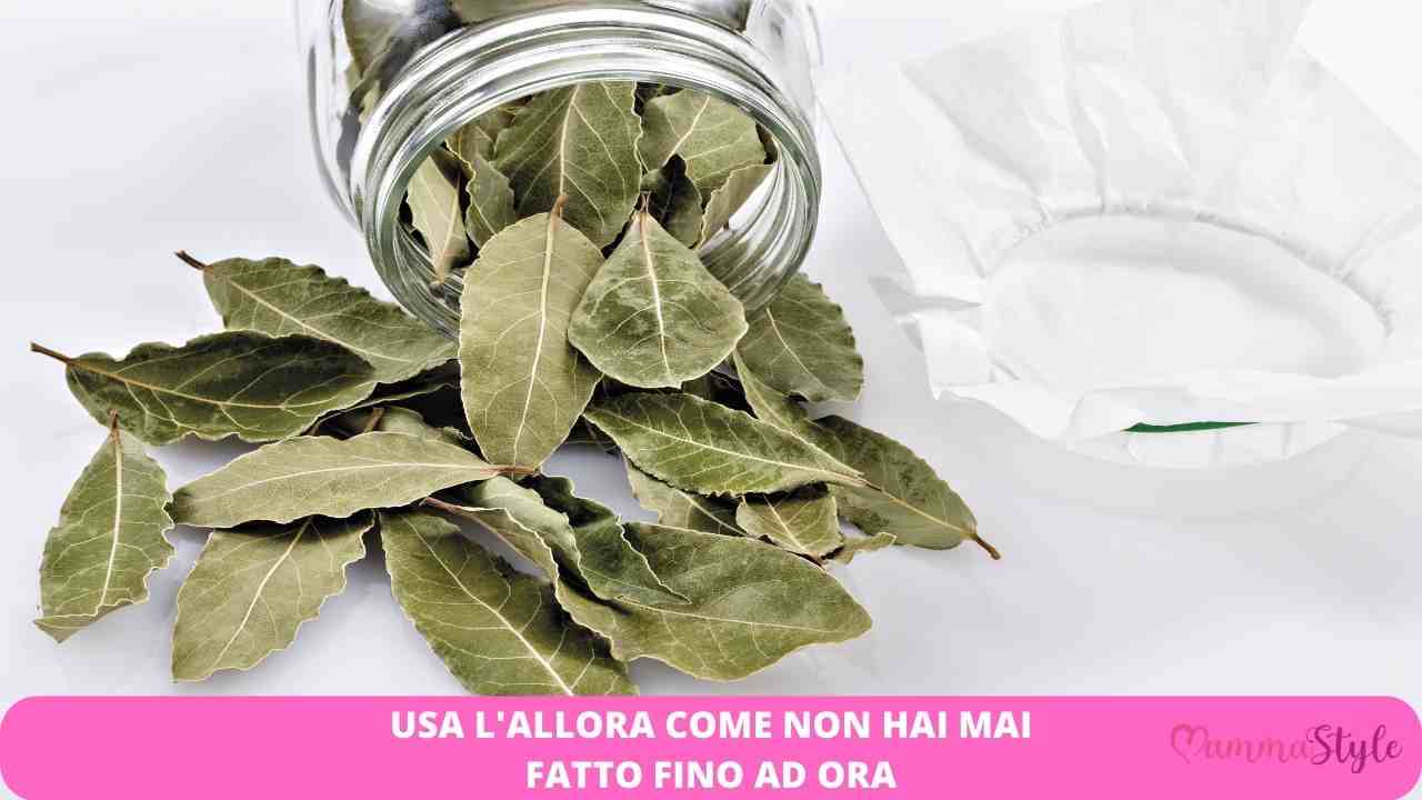 cucina alloro