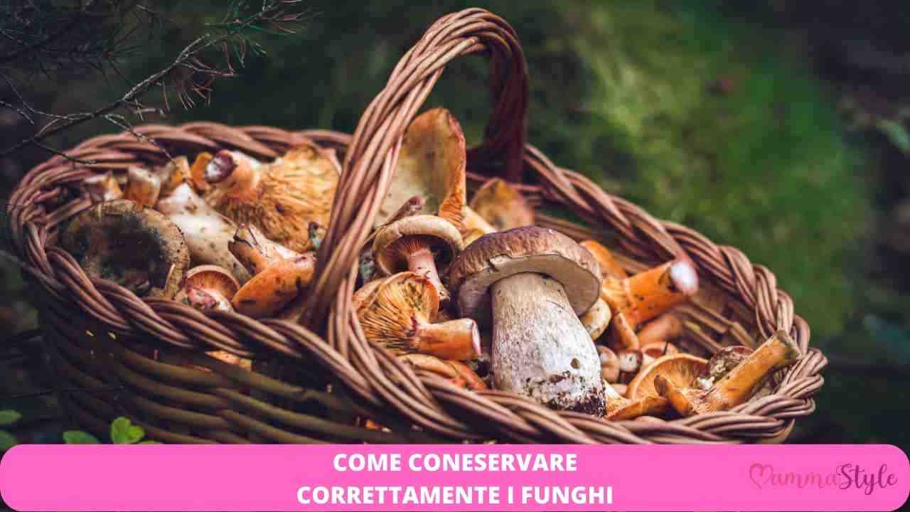 funghi correre rischi