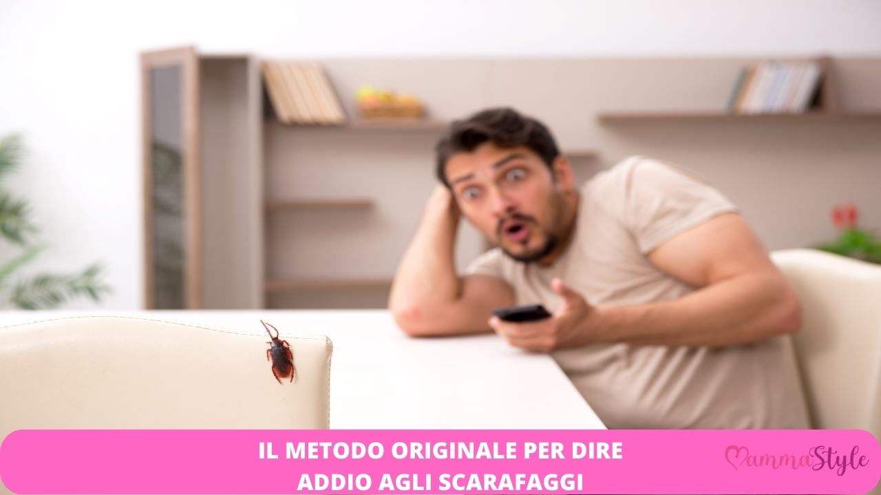 lontano scarafaggi