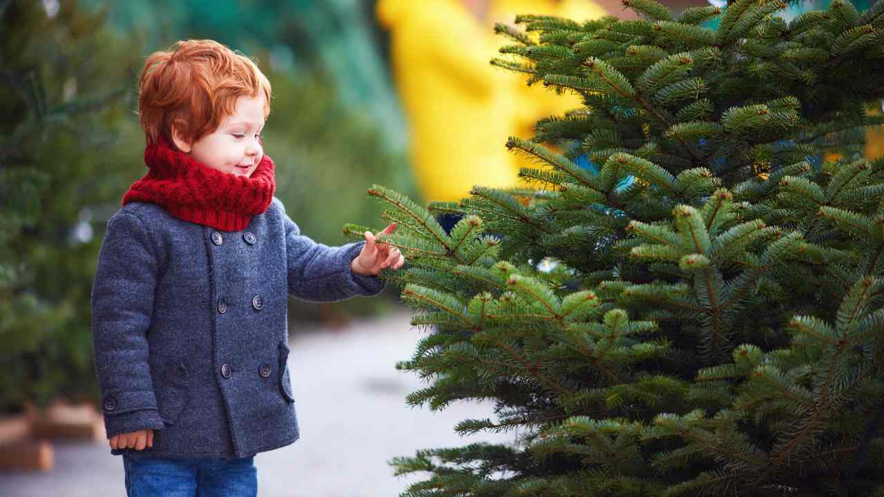 Bambini con abete, idee sul cosa fare per il Ponte dell'Immacolata