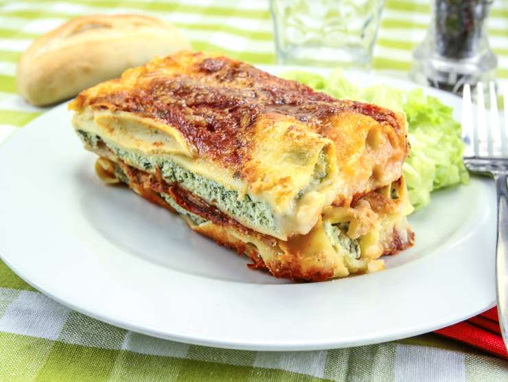 solite lasagne