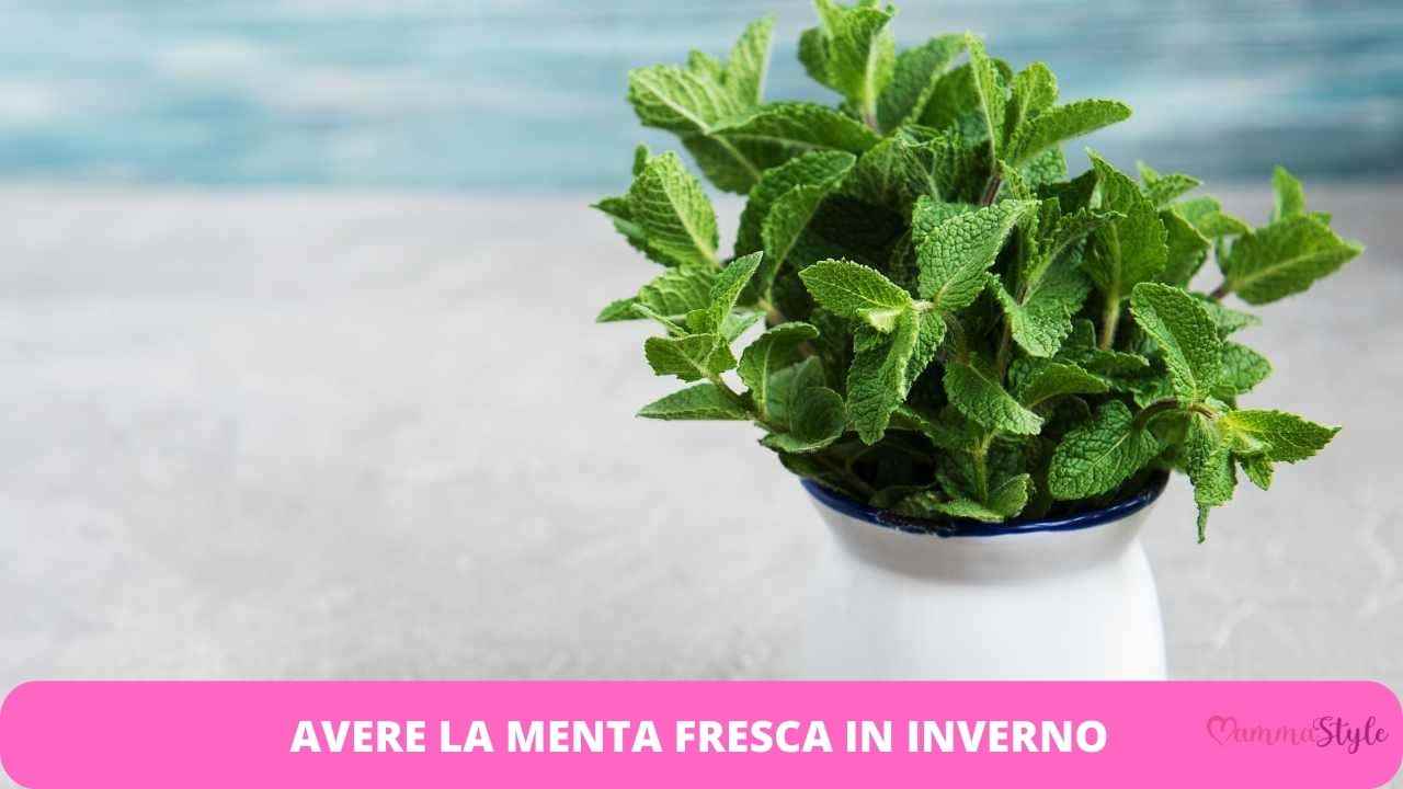 menta fresca