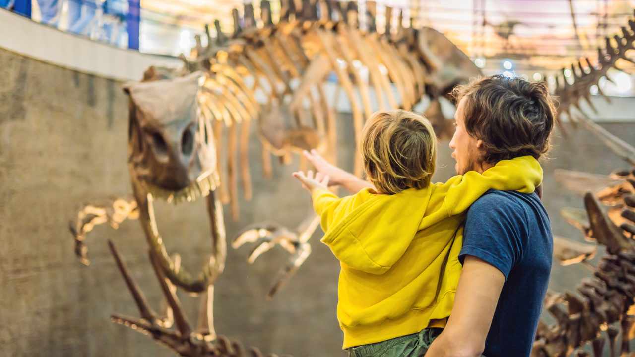 Bambino al museo