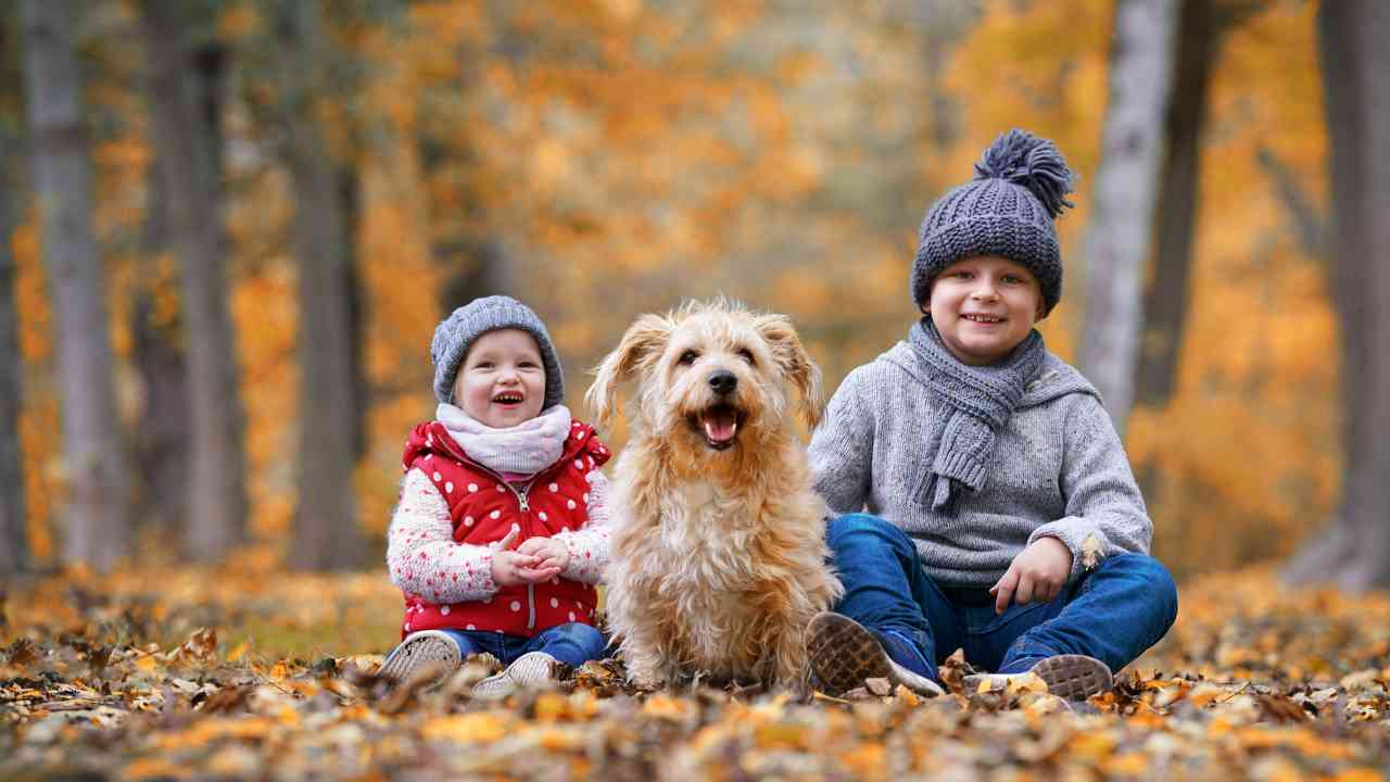 Passeggiate spettacolari nella natura con i bambini