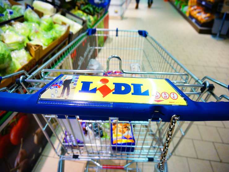 giochi Lidl