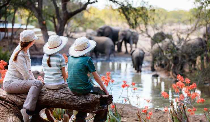 Gita a vedere gli animali in Italia