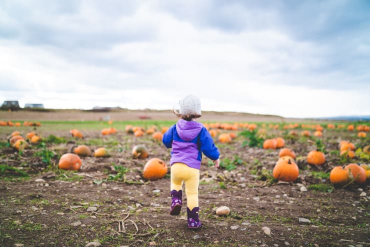 halloween campi zucca italia