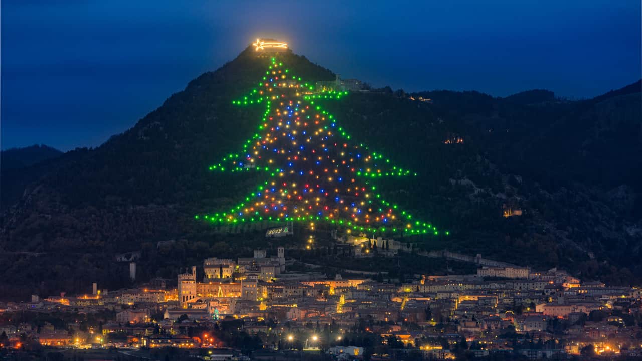 albero natale grande italia