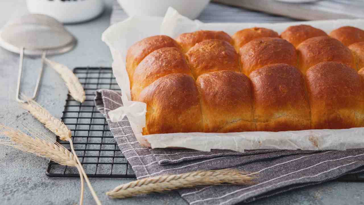 brioche al mandarino