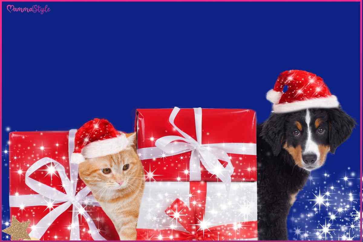 allarme regalo per cane e gatto