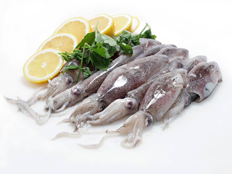 calamari croccanti