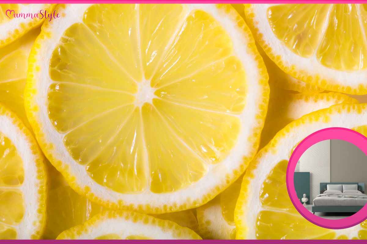 fette di limone letto