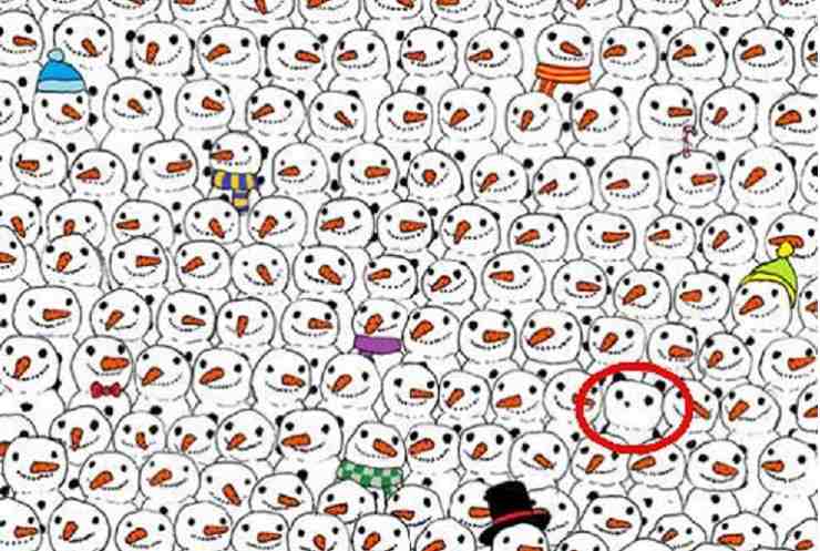 Test visivo: riuscite a trovare il panda tra i pupazzi di neve?