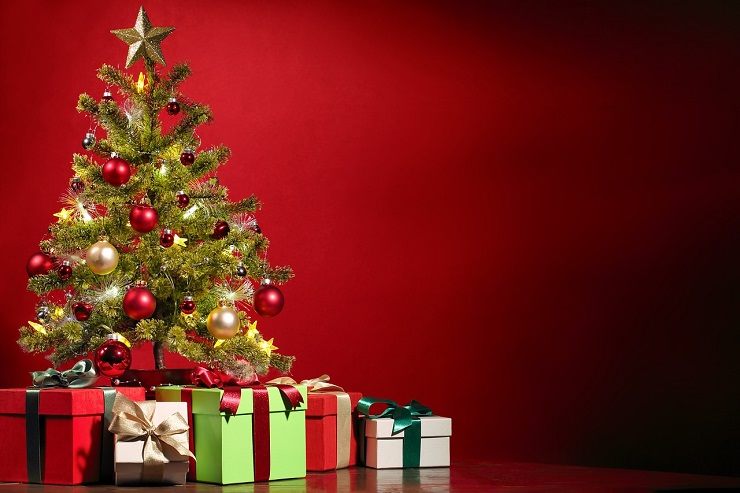 Test :quale albero di Natale preferisce?