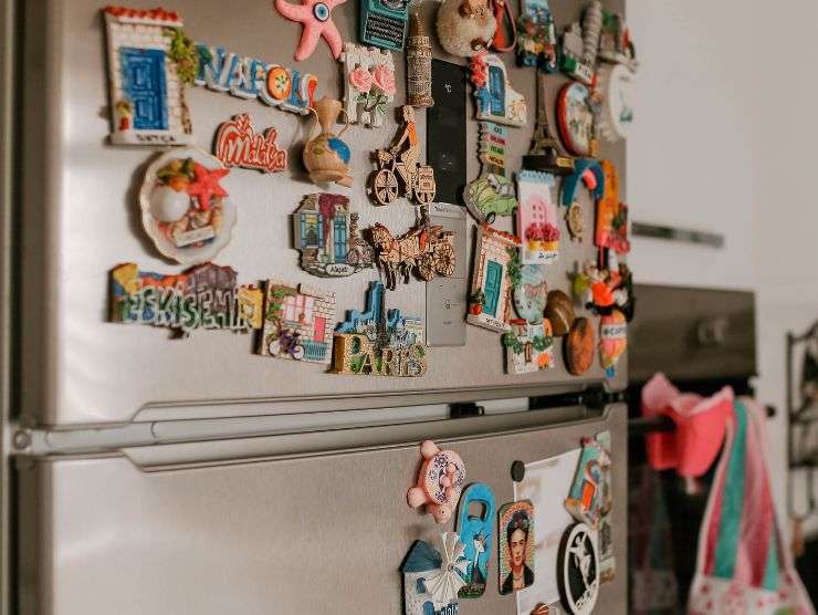 calamite frigo