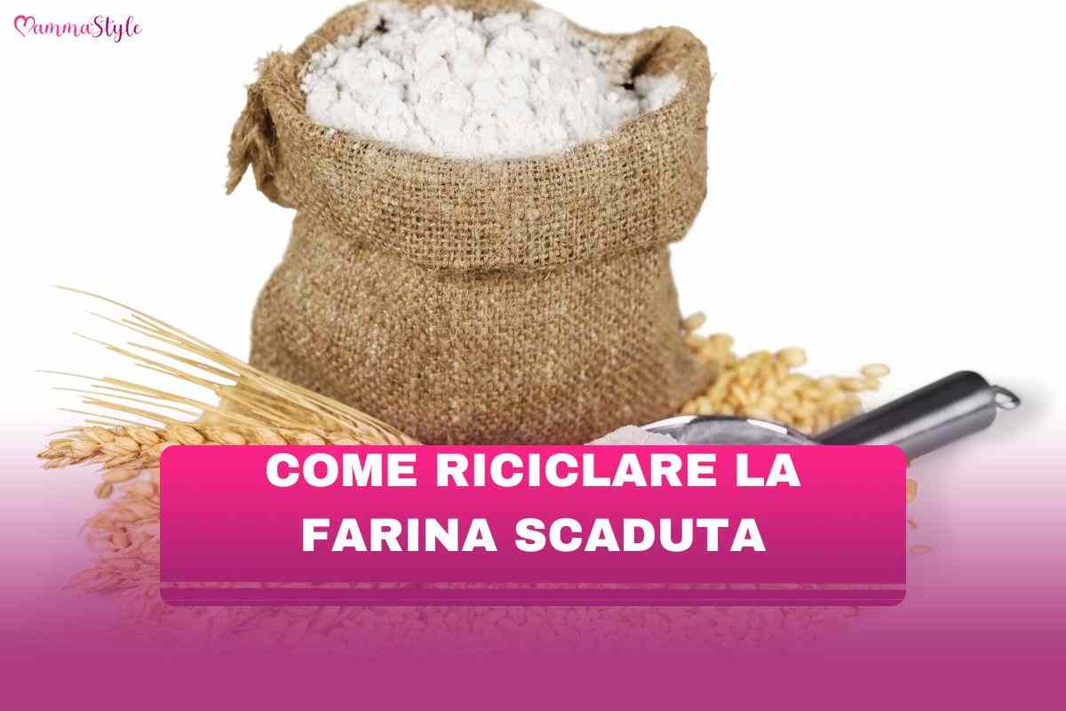 farina scaduta