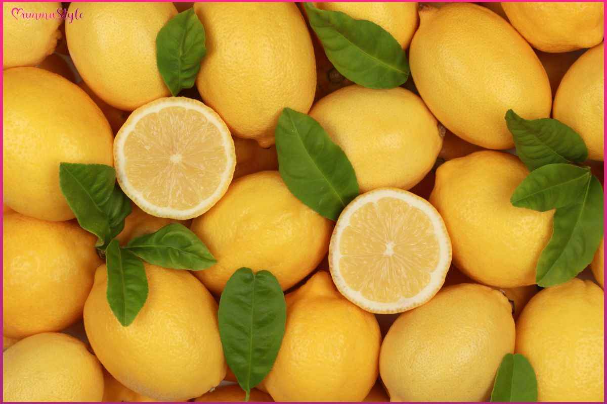 limone e fogli di carta