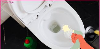 incrostazioni calcare wc