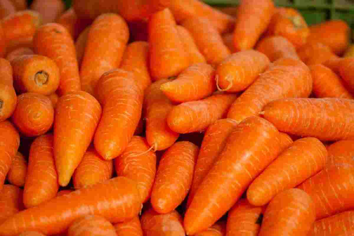 dieta carota