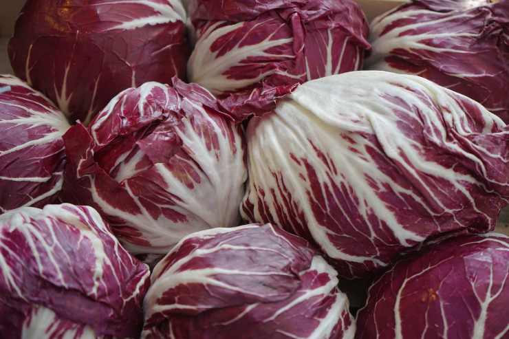 radicchio menopausa