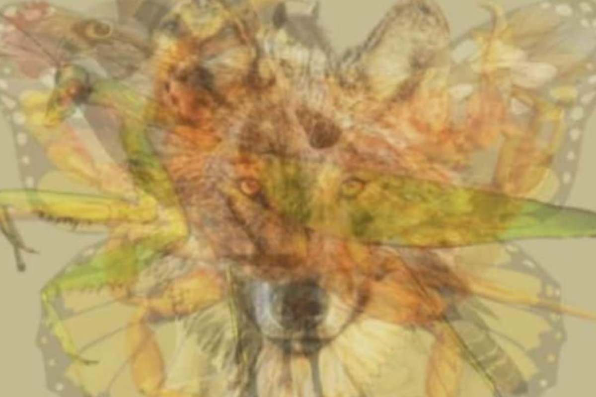 Test psicologico: quale animale vedi per primo?