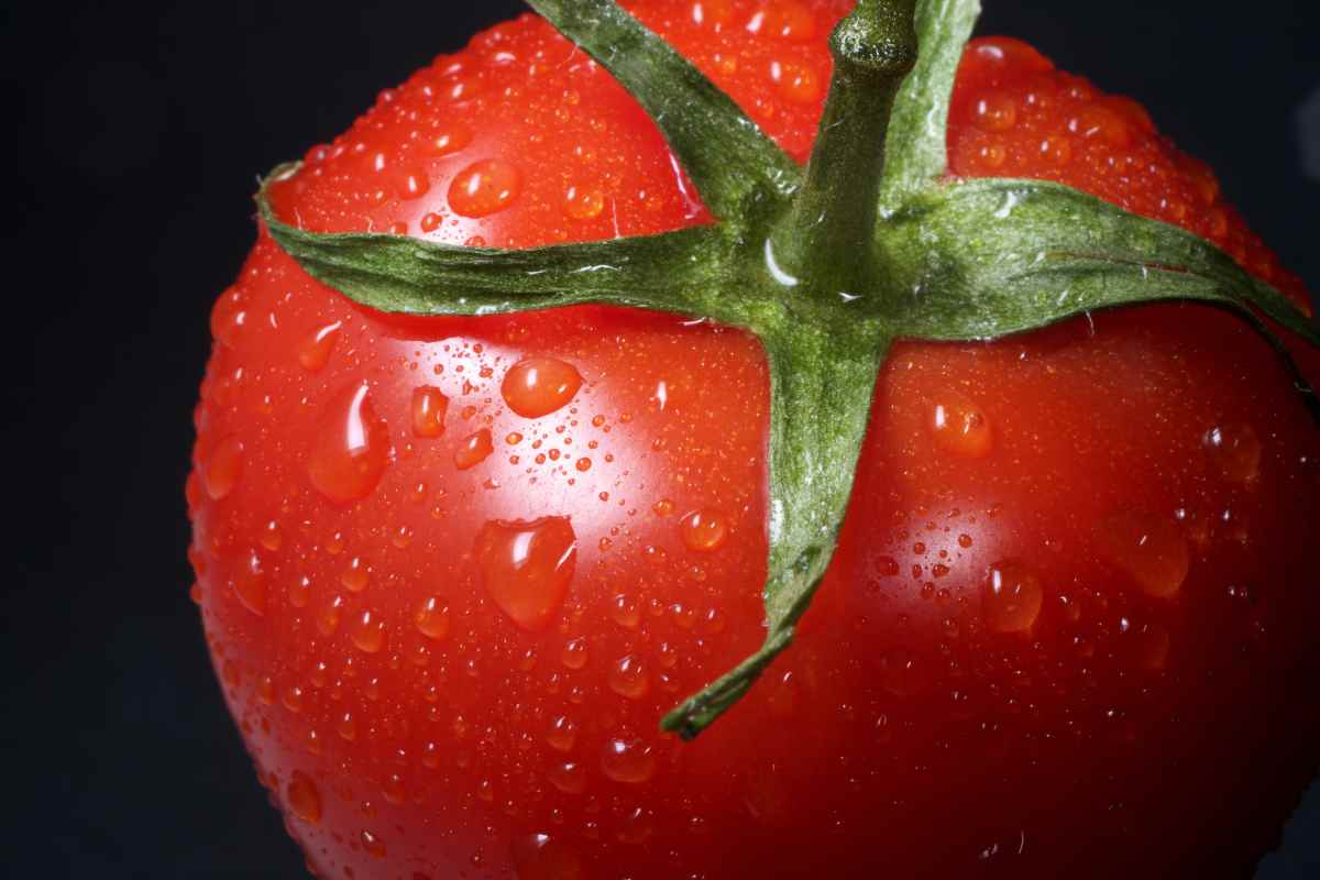 Ci sono tanti problemi con i pomodori nei sughi