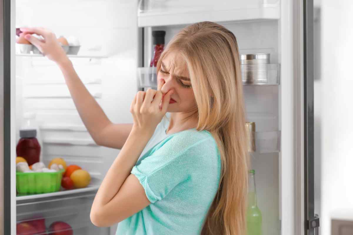 Come eliminare il cattivo odore dal frigo