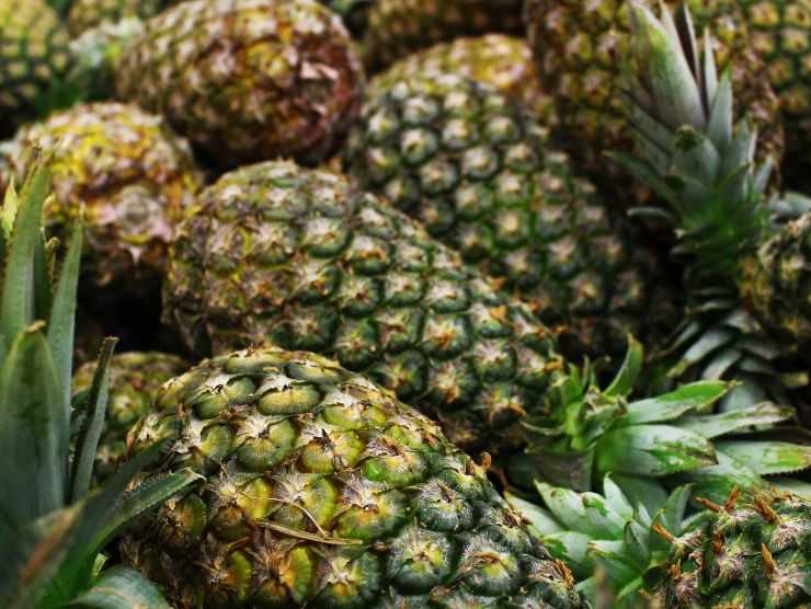 ananas cosa sapere