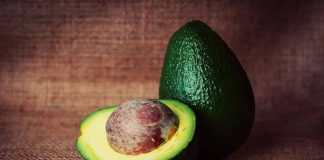 avocado come coltivare