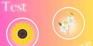 Test personalità: tu che fiore sei?