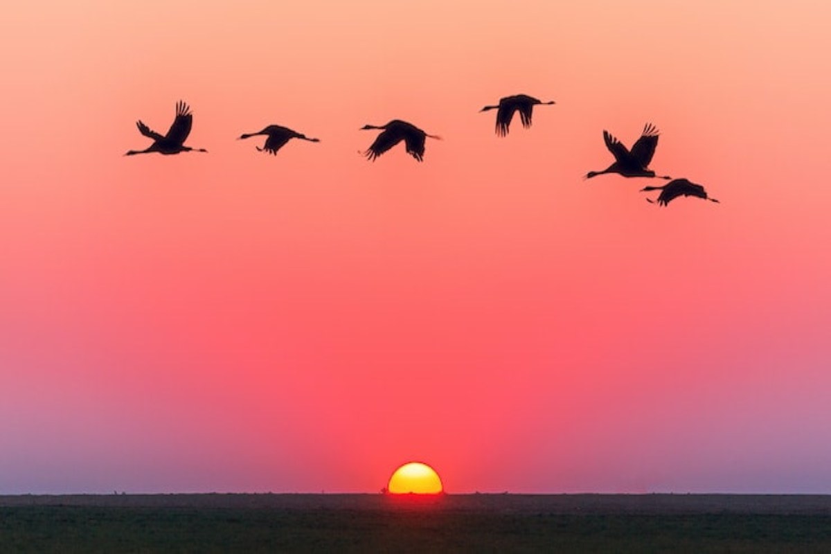 Un tramonto del test della personalità