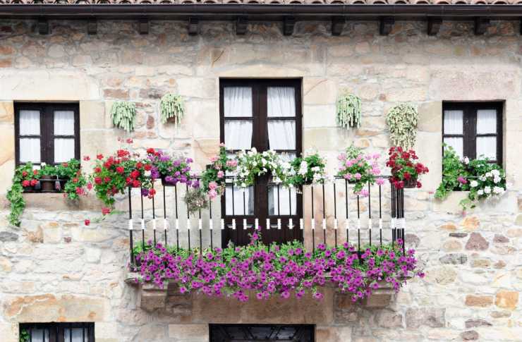 Come avere un balcone fiorito